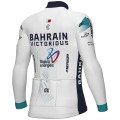 Heren Fietskleding Ale Bahrain Victorious 2024 shirt met lange mouwen Heren Fietskleding Ale Bahrain Victorious 2024 shirt met lange mouwen