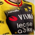 Heren Team Visma Lease a Bike 2025 The Wingbeat shirt - Wout Van Aert